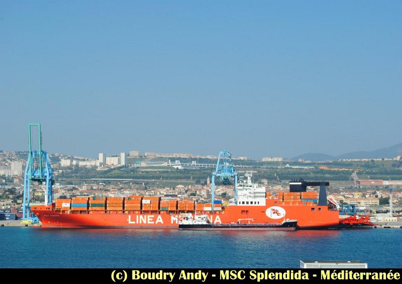 MSC Splendida - Marseille (9).jpg